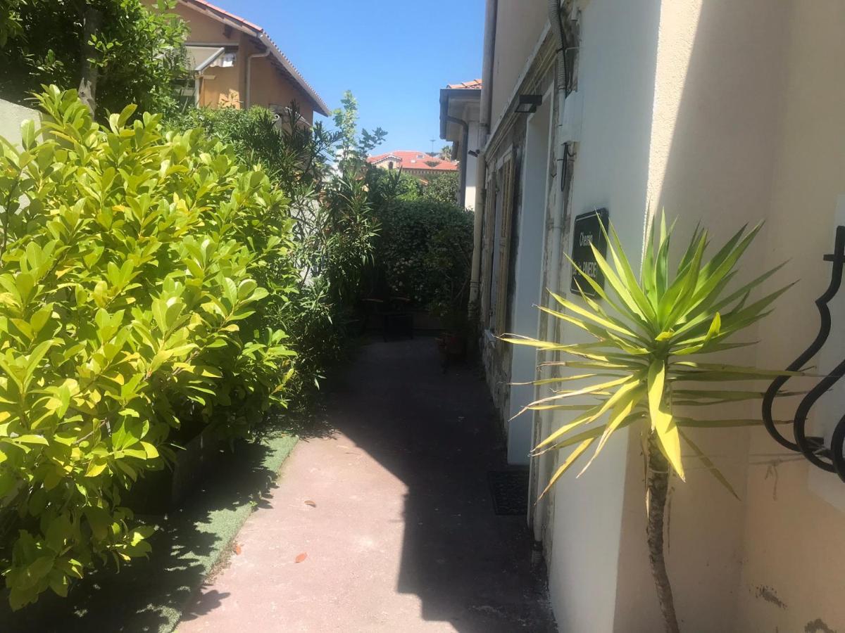 نيس Villa Mon Reve Apartements المظهر الخارجي الصورة